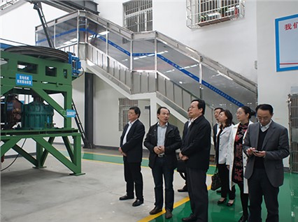 國家工商聯副主席謝經榮一行蒞臨我公司考察指導工作