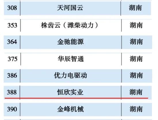 恒欣股份上榜“2024工業互聯網500強”